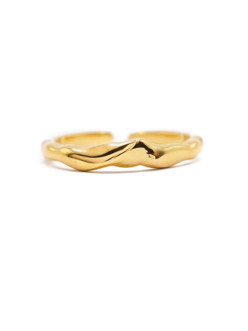 Sculpted Curve Ring – 18K vergoldeter, wasserfester Edelstahlring in Gold, verstellbar